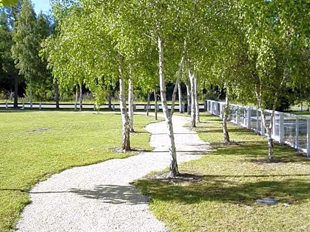 Hanmer Springs Forest Camp Trust