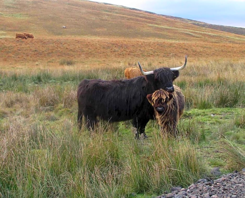 Armadale House Scotland Farr North Coast B&B