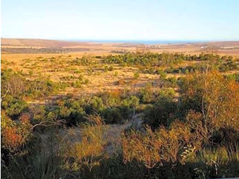 Tanonga Luxury Eco Lodges