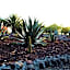Hotel Boutique Rancho San Juan Teotihuacan