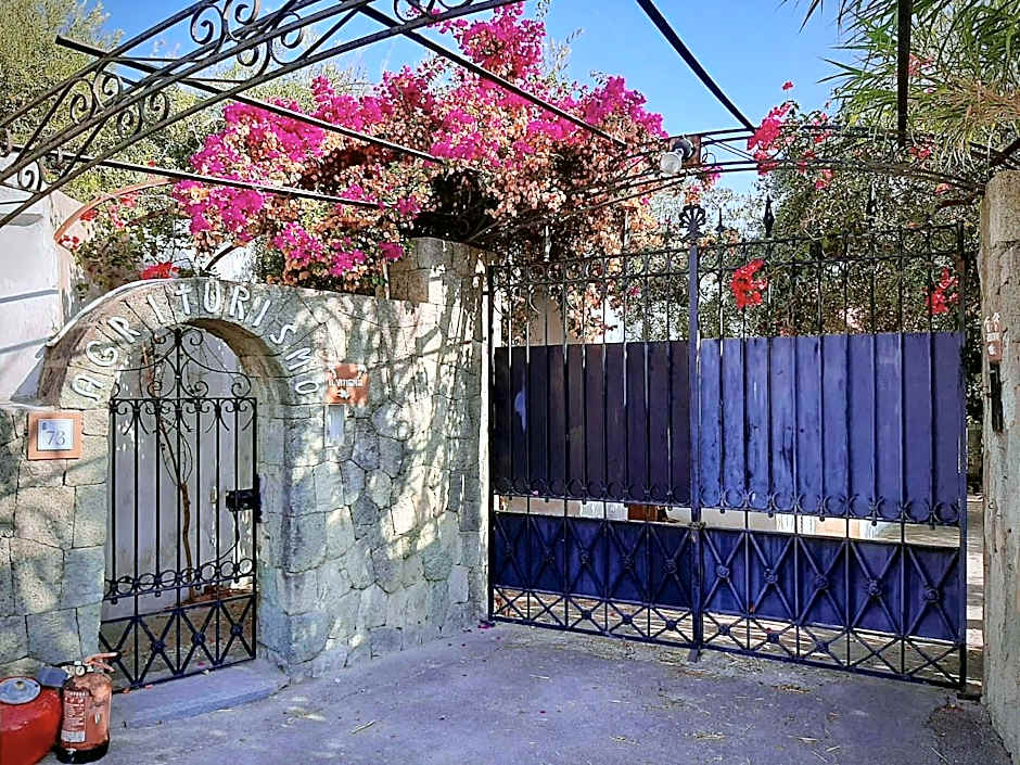 Il Vitigno di Dioniso