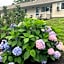 Northeaster Motel