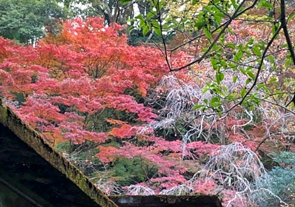 Izuya Ryokan - Vacation STAY 22369v