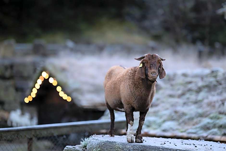 Byrkjedalstunet Hotell