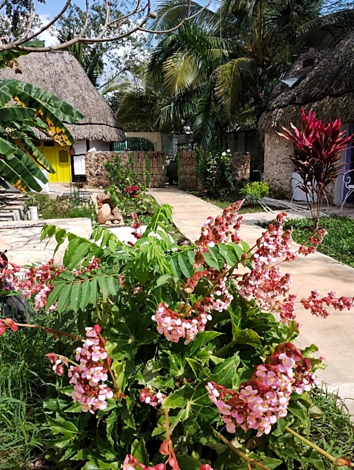 Casa Maya del Jabin - Alberca - Wifi-Starlink - Tour Sustentabilidad