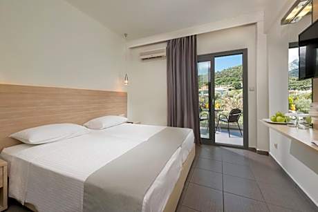 Standard Double or Twin Room with Mountain View