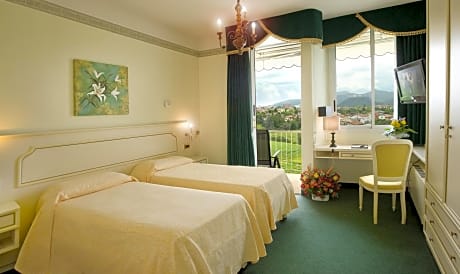 Superior Double or Twin Room with Pool View
