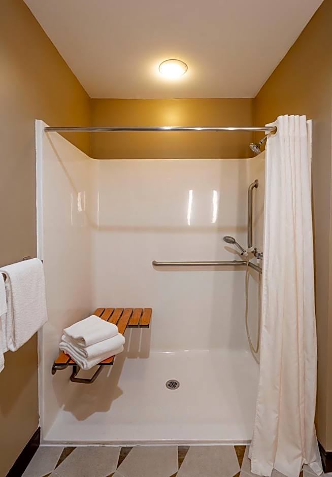 The Hotel Saratoga an Ascend Collection Hotel