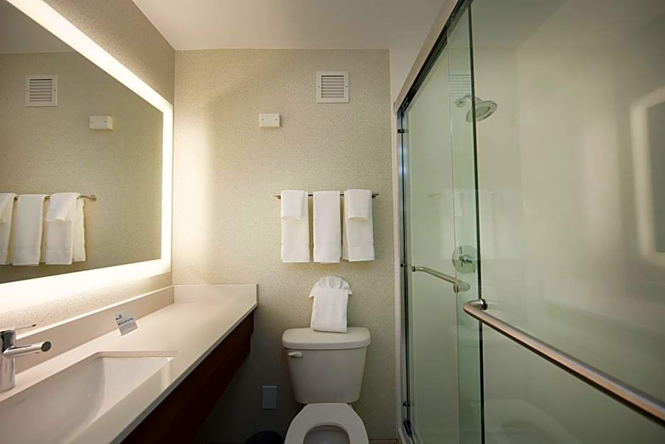Holiday Inn Express Athens - University Area By IHG