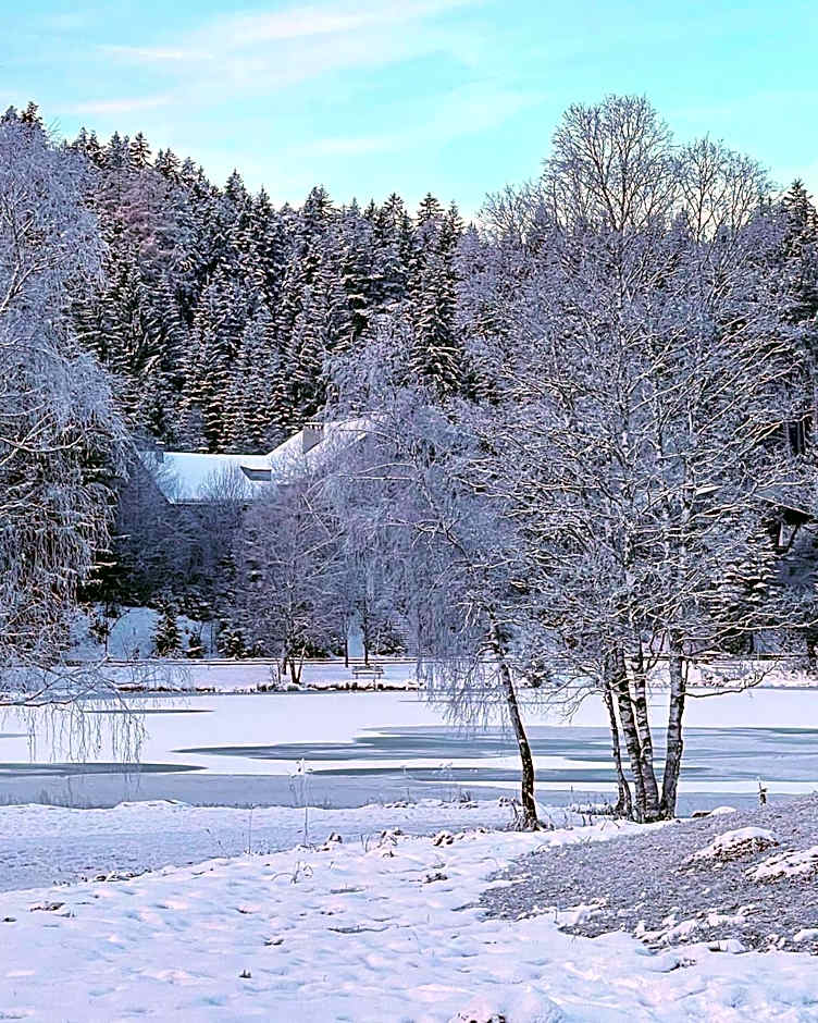 LakeSide Apartments Seefeld