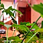CASARU HOTEL OAXACA