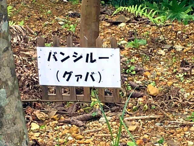 Makiya Tokusukeya