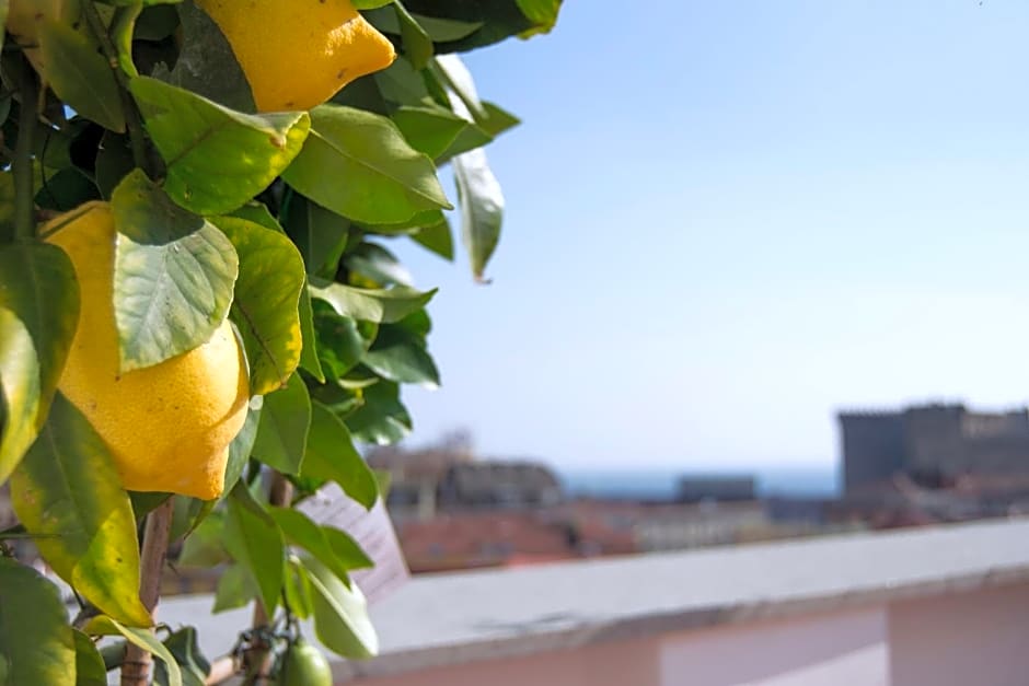 "Panoramic Terrazza - Napoli"