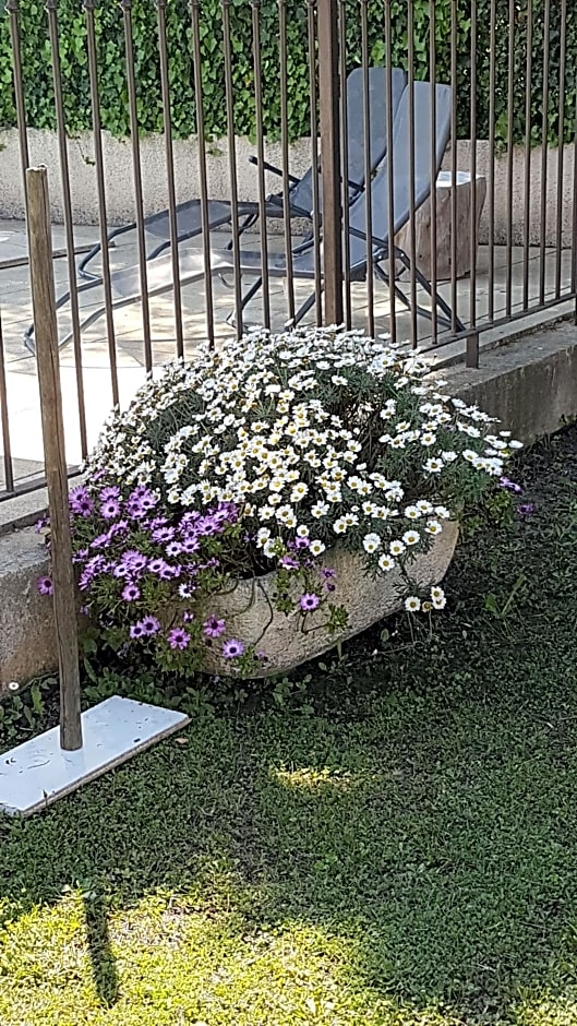Fleur de garance