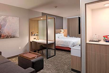 Suite, 1 King Bed with Sofa bed (1 King Bed and 1 Double Sofa Bed)