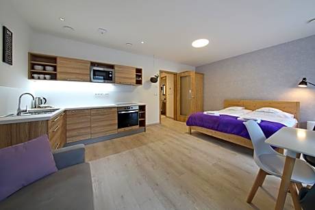 Studio Apartment