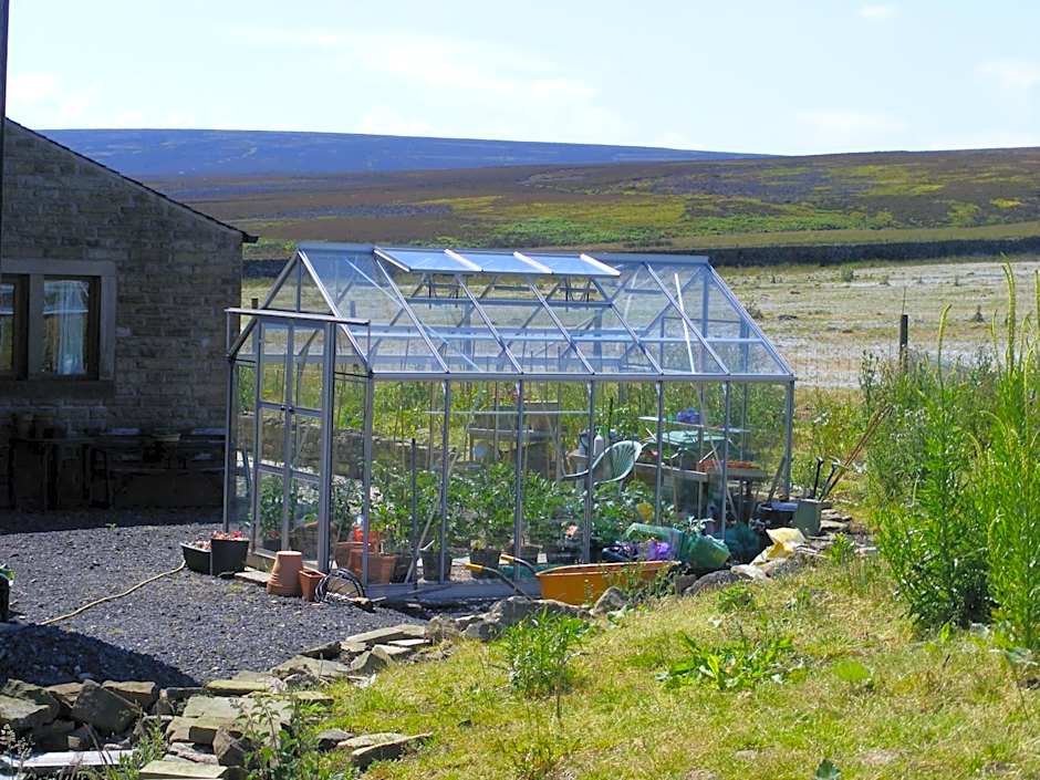 The Dog and Partridge