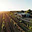 Bed in a Shed Vineyard Stay