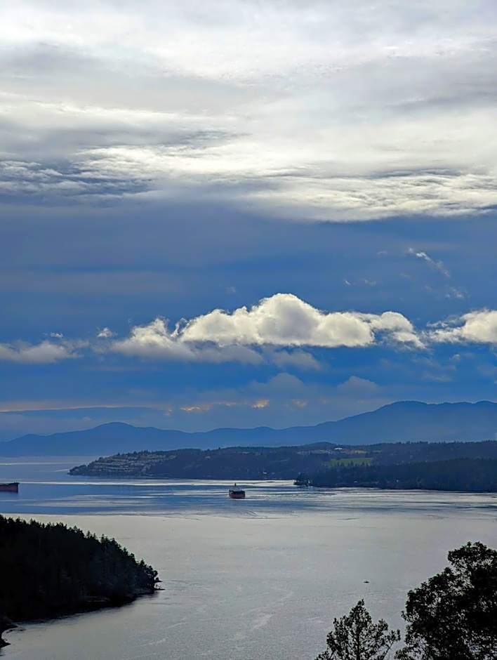 Maple Rise Guesthouse