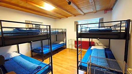 Bed in 6-Bed Female Dormitory Room with Shared Bathroom