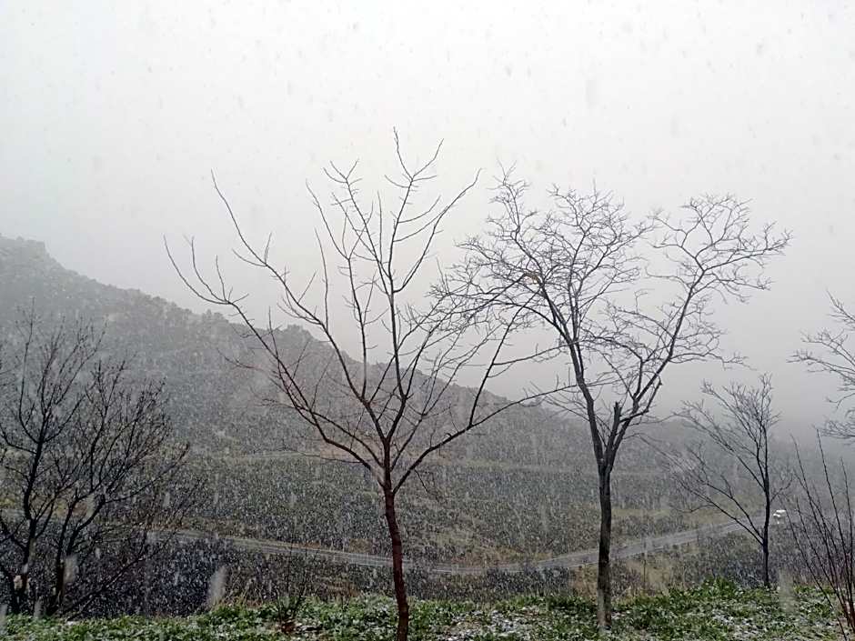 Casa de huéspedes B&B Villa de las Hortensias