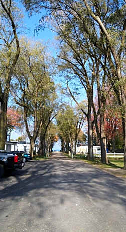 Plantation Motel