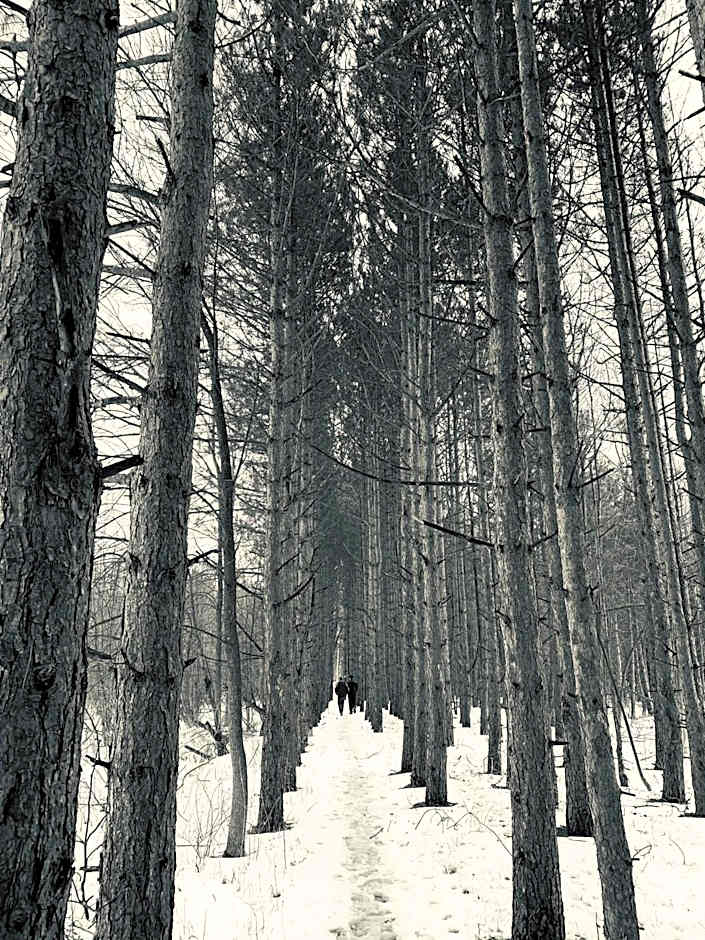 Village Inn on the Lake