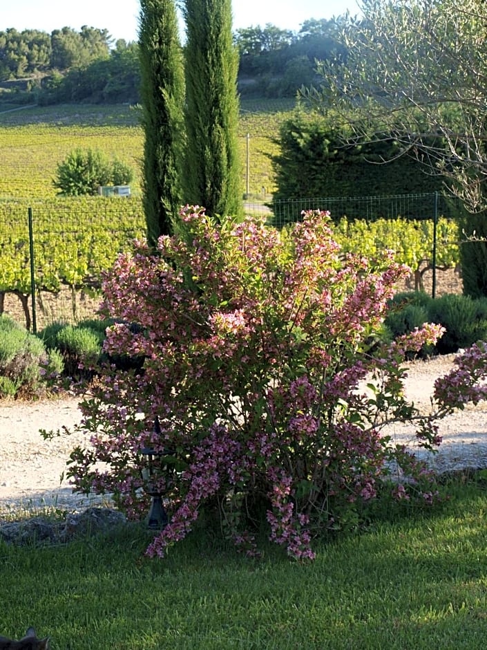 jardin d'antan