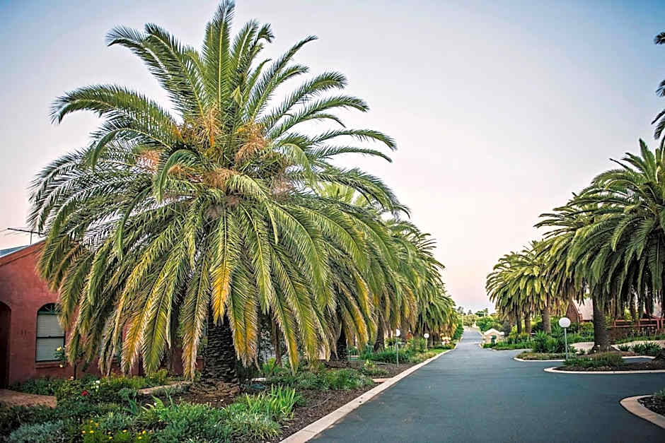 Tuileries at De Bortoli Rutherglen
