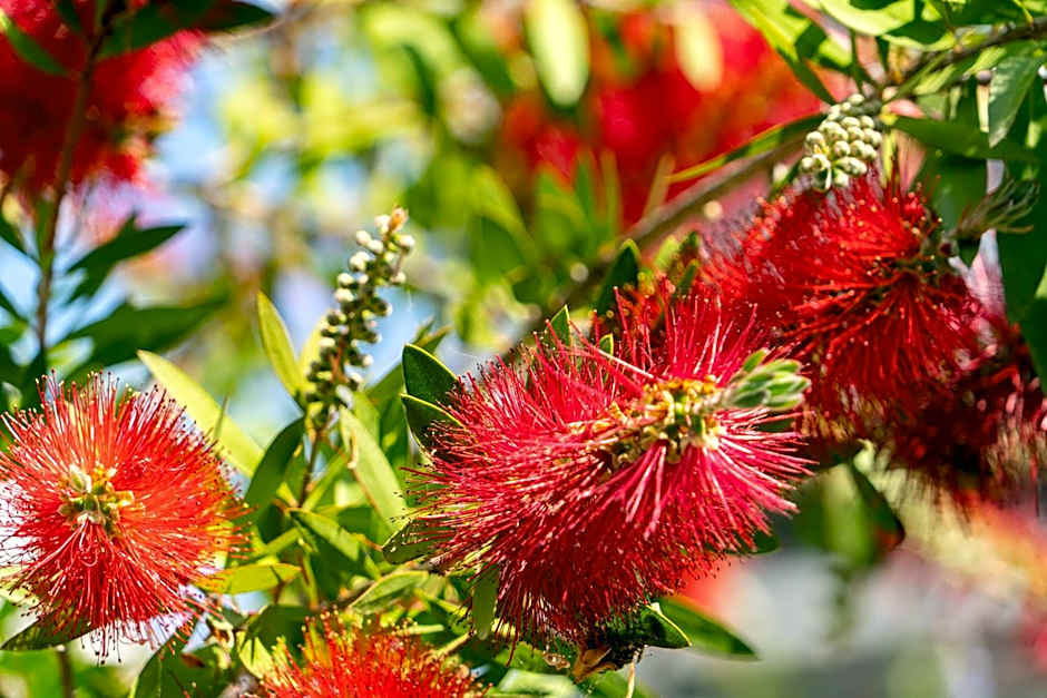 Edem Luxury Apartments