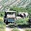 Leeuwenbosch Country House - Amakhala Game Reserve