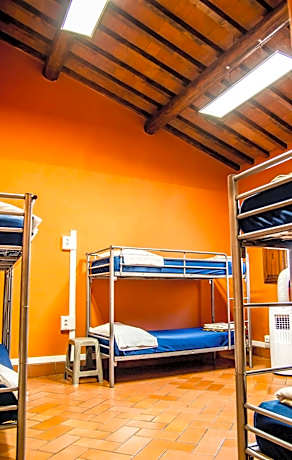 Bed in 6-Bed Mixed Dormitory Room