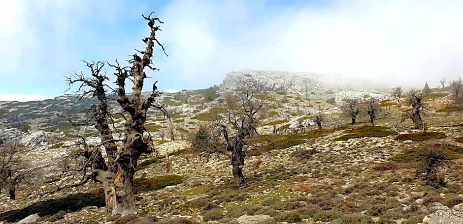 Hotel Sierra Hidalga