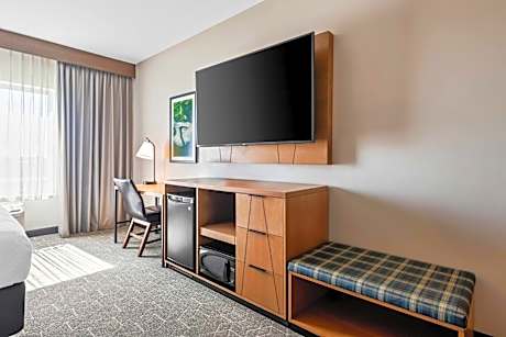 Deluxe King Room with Track View, Non-Smoking