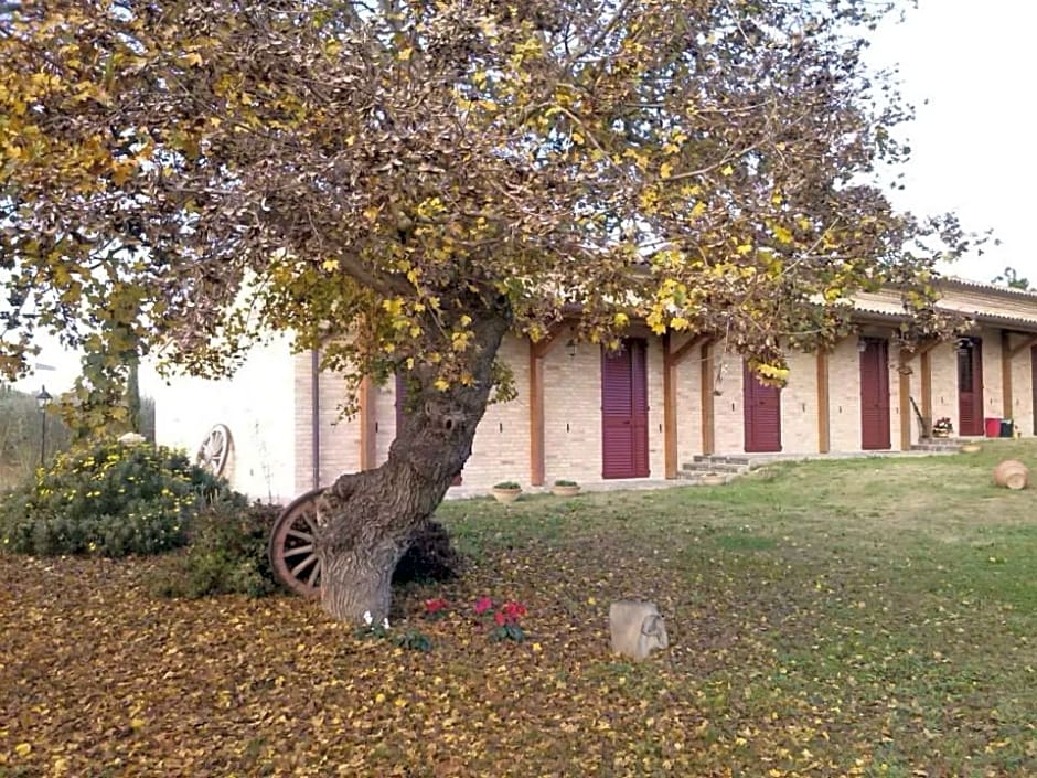 Il Piccolo Melograno