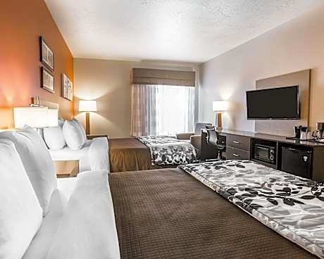Queen Room with Two Queen Beds - Non Smoking