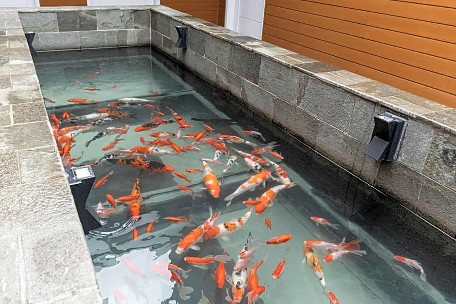 RedDoorz Premium near Centre Point Mall Medan