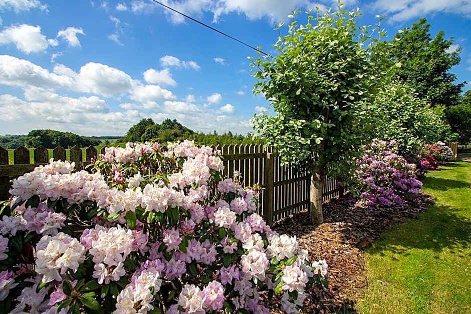 Home Farm B&B - Sunflower Room
