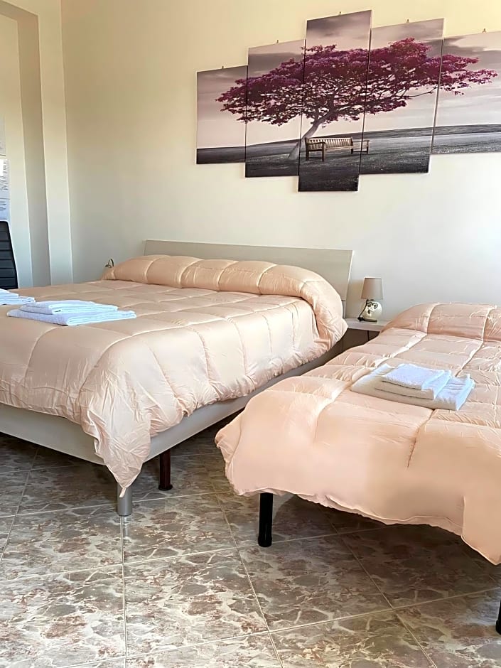 B&B Casa degli Ulivi