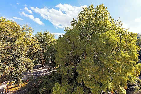 Club Room, 1 King Bed, Non Smoking