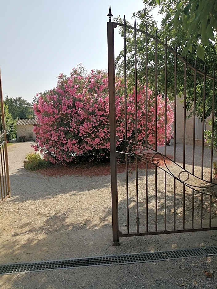 Chambres d'hôtes Le Vignoble