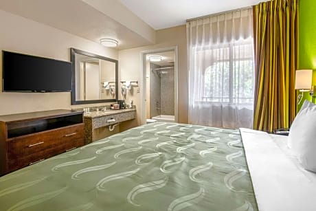 1 Bedroom Suite