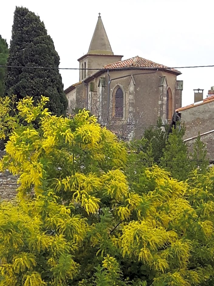 La Vigne Des Heures Claires