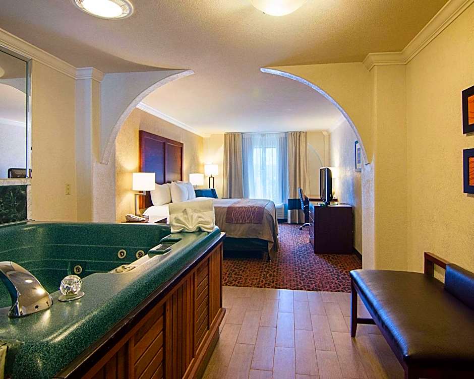 Comfort Inn & Suites I10 - Mason Road