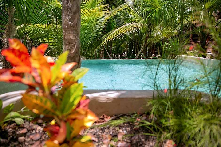 Hotel Buenavista Bacalar Jungle Experience