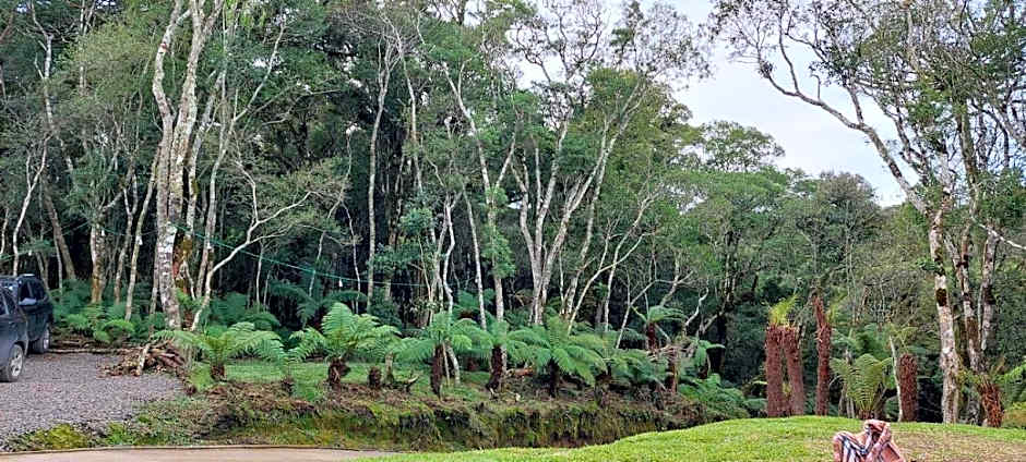 Morada do Xaxim - Chalé Hortência