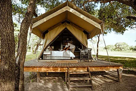 Luxury Twin Room