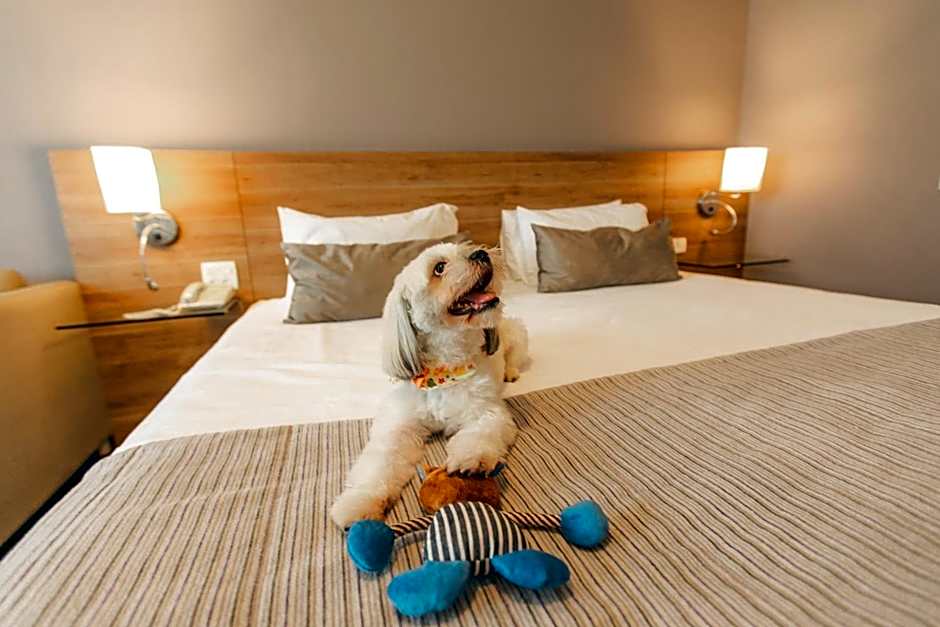 Comfort Suites Londrina