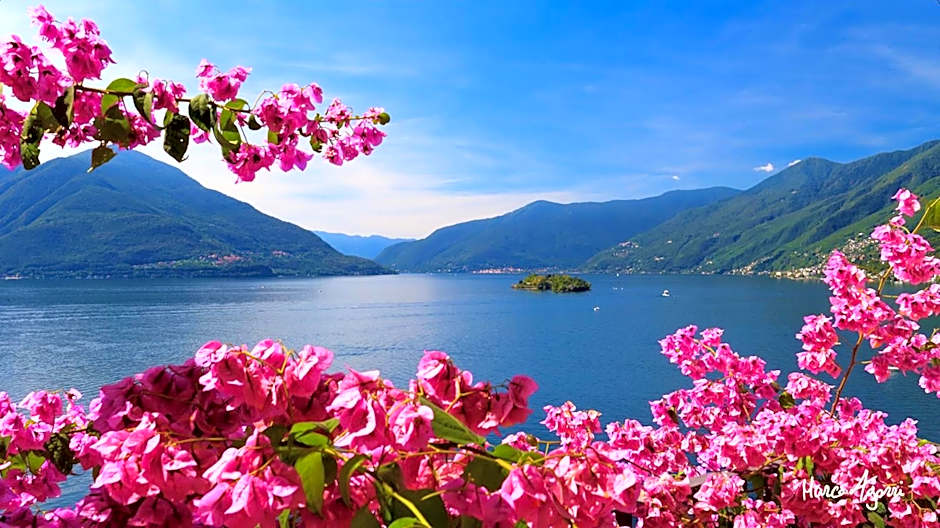 Charme Hotel al Torchio