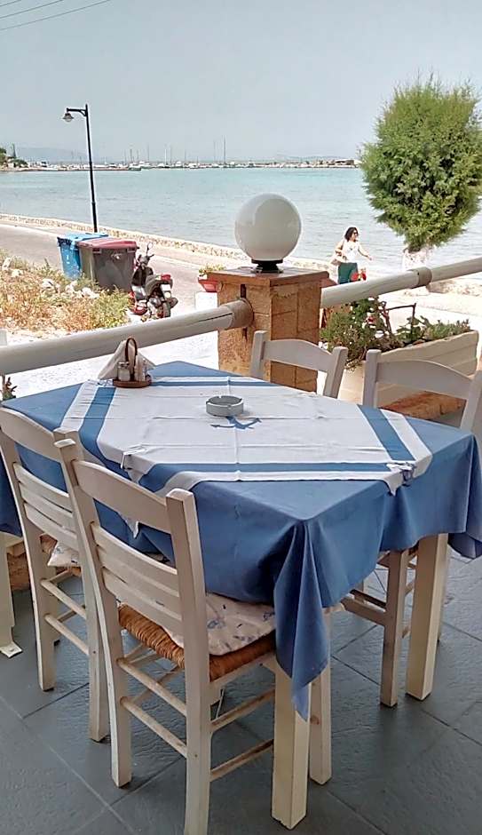 Hotel Beach Amaryllis